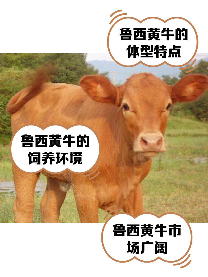 钦州最新医保取现黄牛方法分析(最方便真实的钦州医保取现黄牛怎么取方法)